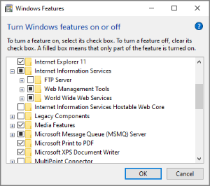 Window Features, Internet Information Services